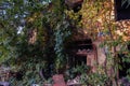 Old abandoned overgrown houses in ghost town Royalty Free Stock Photo