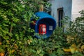 Old abandoned overgrown phone booth