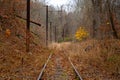 Old, abandoned, overgrown railroad train tracks lead into the creepy dark woods Royalty Free Stock Photo