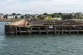 Old Abandoned Pier in Boston - massachusetts USA wooden broken dock