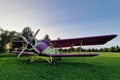 An old, abandoned plane in violet and yellow Royalty Free Stock Photo