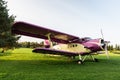 An old, abandoned plane in violet and yellow Royalty Free Stock Photo