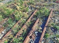 Old abandoned rail and bolt of a railway. Rusty train railway Royalty Free Stock Photo