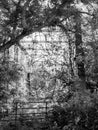 Old Abandoned Overgrown Railroad Bridge Royalty Free Stock Photo