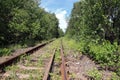 The old abandoned railroad in the forest