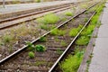 Old abandoned railroad overgrown with grass