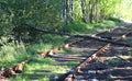 An old abandoned railway track in the forest with a fallen tree lying on the rails Royalty Free Stock Photo