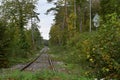 Old abandoned railway track running through a mixed forest in autumn. Royalty Free Stock Photo