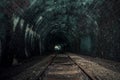 An old abandoned railway tunnel decayed for decades a lost place