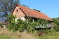 Old abandoned red brick family house with wooden porch completely overgrown with crawler plants with rusted agricultural tool left