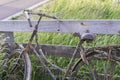 An old abandoned rusty bike parked against a wooden fence Royalty Free Stock Photo