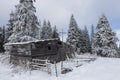Old abandoned shepherd house in a frosty winter wonderland, Carpathians