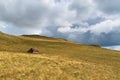 Old abandoned shepherd\'s hut in middle of pasture on slope of Vlasic mountain