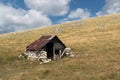 Old abandoned shepherd\'s hut in middle of pasture on slope of Vlasic mountain