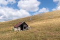 Old abandoned shepherd\'s hut in middle of pasture on slope of Vlasic mountain