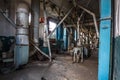 Old abandoned silo elevator with rusty equipment left Royalty Free Stock Photo