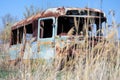 Old and abandoned Soviet Russian bus in the middle of reeds