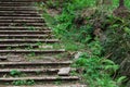 Old abandoned stairway in the park will be going green alive,Highly humid in tropical climate Royalty Free Stock Photo