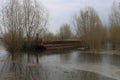 an old abandoned sunken rusty barge in willow bushes