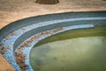 Old abandoned swimming pool, filled with polluted, green rain water. Taken on Prison Island, Zanzibar Tanzania Royalty Free Stock Photo