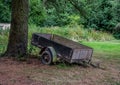 Abandoned Trailer under a tree