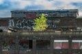 Abandoned old Train Station with Tree Growing