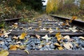 Old Abandoned Train Tracks and Autumn Leaves Royalty Free Stock Photo
