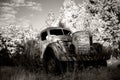 Old Abandoned Truck Royalty Free Stock Photo