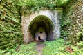 Old abandoned tunnel in the underground wine cellar Royalty Free Stock Photo