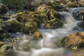 Old, abandoned water mill with water streams and little waterfalls