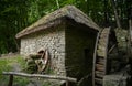 Old Abandoned Water Mill In The Wild Ukrainian Forest