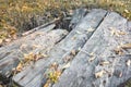 Old abandoned well with a broken wooden lid Royalty Free Stock Photo