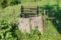 Abandoned well in a field overgrown with green ivy Royalty Free Stock Photo