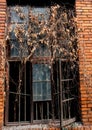 An old abandoned window