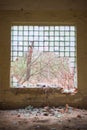 old abandoned window in factory
