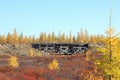 Old abandoned wooden bridge in the North of Siberia