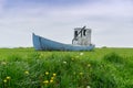 Old abandoned wooden fishing boat in a green grassy meadow with flowers in the foreground