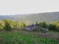 Old abandoned wooden hostel for loggers