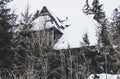 Ruins of an old wooden house in the forest Royalty Free Stock Photo