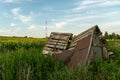 An old abandoned wooden house overgrown with grass on the background of a field with sunflowers. A large agricultural field of Royalty Free Stock Photo