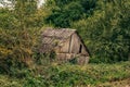 Old abandoned wooden house in the woods Royalty Free Stock Photo