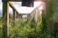 Old abandoned wrecked house overgrown with green ivy