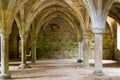 Old Abbey stonework Royalty Free Stock Photo