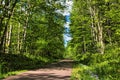 Old Abe recreational trail on a late-Spring day surrounded by green forestland and flowering grassland. Royalty Free Stock Photo