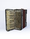 Accordion Royalty Free Stock Photo
