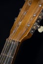 Old Acoustic Guitar Strings, Fretboard, Nut & Machine Head Detail