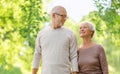 Happy senior couple over green natural background Royalty Free Stock Photo