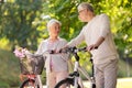 Happy senior couple with bicycles at summer park Royalty Free Stock Photo