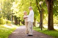 Happy senior couple dancing at summer park Royalty Free Stock Photo