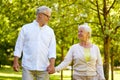 Happy senior couple walking at summer park Royalty Free Stock Photo